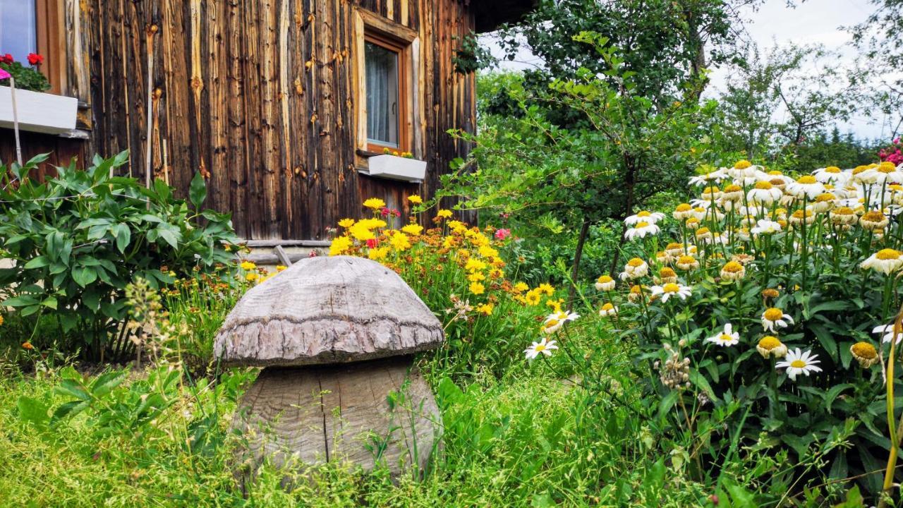 Wies Odnowa Łabowa Exterior foto