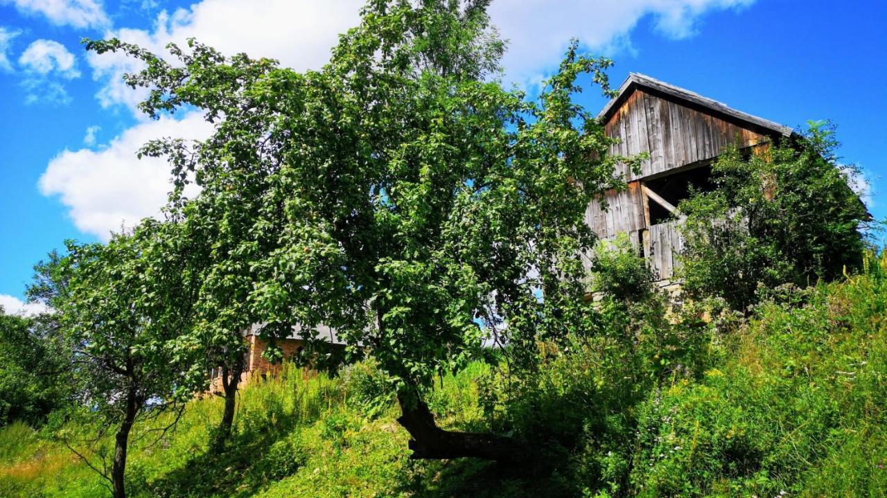 Wies Odnowa Łabowa Exterior foto
